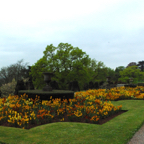 Tyntesfield - IMGP4943.jpg