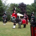 pipe band mascot pony.JPG